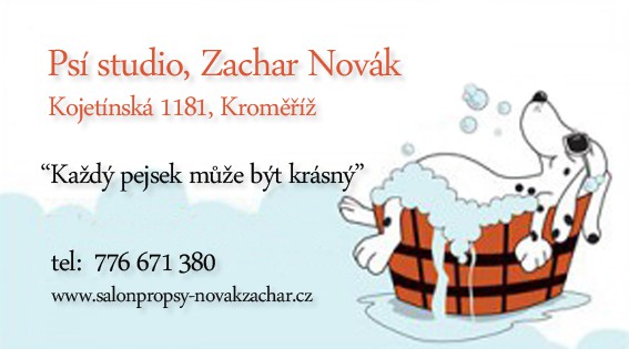 Salón pro psy - Zachar Novák